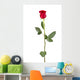 Long Stem Rose Wall Decal