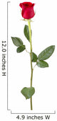 Long Stem Rose Wall Decal