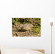 Northern Bobwhite Quail Feeding Wall Decal