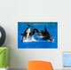 Jumping Pod of Orcas Killer Whales Wall Decal