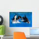 Jumping Pod of Orcas Killer Whales Wall Decal