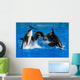 Jumping Pod of Orcas Killer Whales Wall Decal