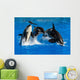 Jumping Pod of Orcas Killer Whales Wall Decal