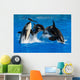 Jumping Pod of Orcas Killer Whales Wall Decal
