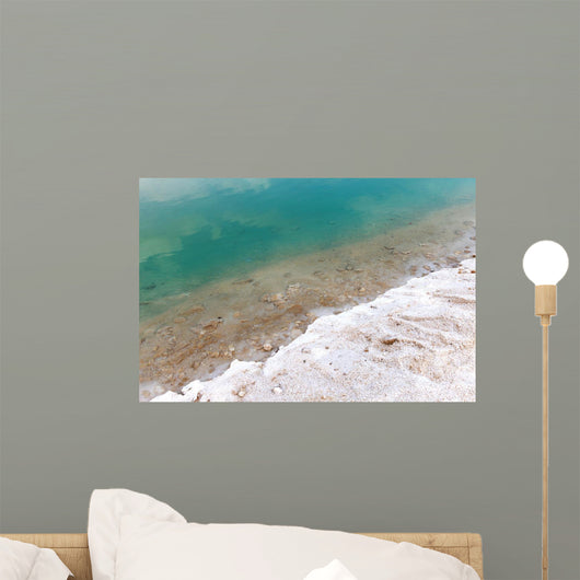 Dead Sea Typical Accumulation Wall Decal