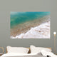 Dead Sea Typical Accumulation Wall Decal