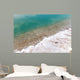 Dead Sea Typical Accumulation Wall Decal