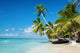Caribbean Beach Dominican Republic Wall Decal