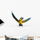 Macaw Sign Edge Wall Decal