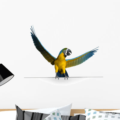 Macaw Sign Edge Wall Decal shown on a wall