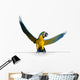Macaw Sign Edge Wall Decal