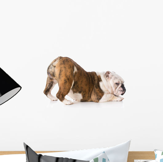 Dog with Bum up Wall Decal