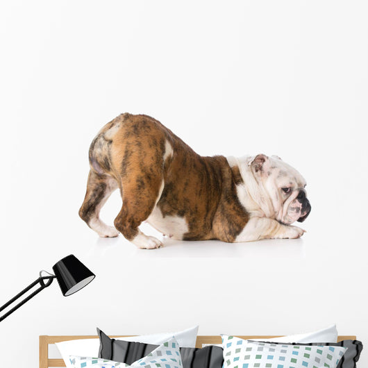 Dog with Bum up Wall Decal