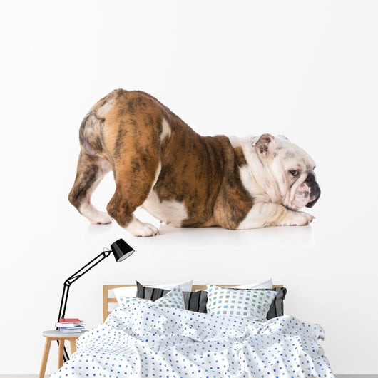 Dog with Bum up Wall Decal