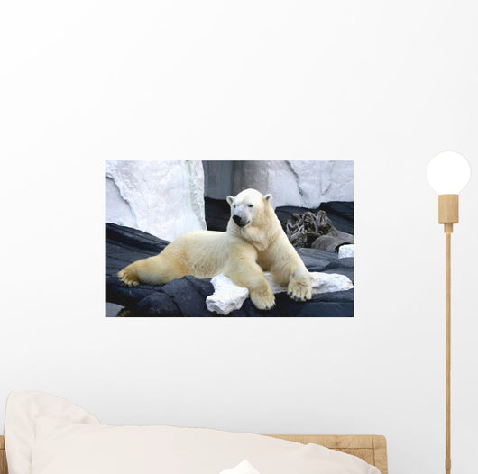 Polar Bear Poses Wall Decal