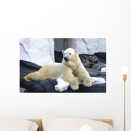 Polar Bear Poses Wall Decal