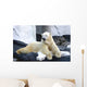 Polar Bear Poses Wall Decal