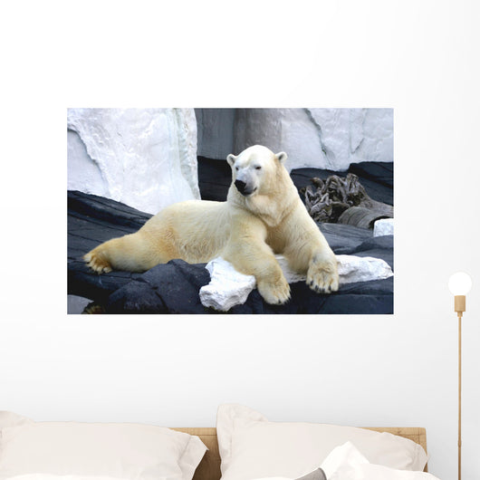 Polar Bear Poses Wall Decal