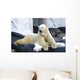 Polar Bear Poses Wall Decal