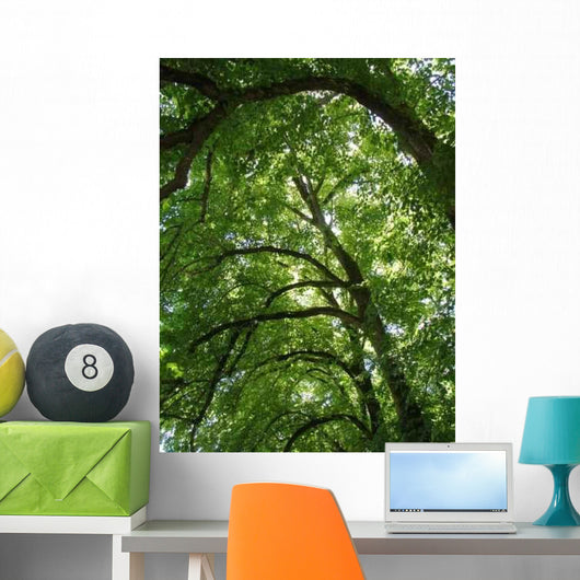 Linden's Profile Wall Decal