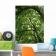 Linden's Profile Wall Decal