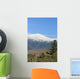 Mount Washington Fall Wall Decal