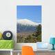 Mount Washington Fall Wall Decal