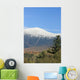 Mount Washington Fall Wall Decal
