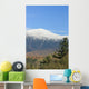 Mount Washington Fall Wall Decal