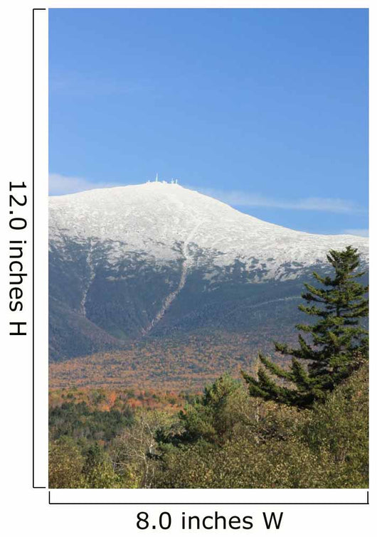 Mount Washington Fall Wall Decal