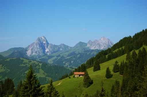 Saanenland Wall Decal
