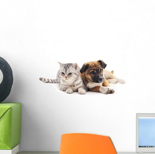 Cat and Puppy Wall Decal