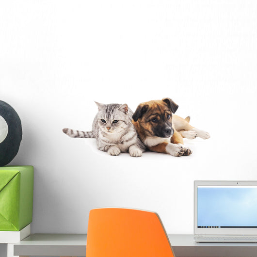 Cat and Puppy Wall Decal
