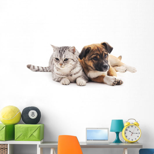 Cat and Puppy Wall Decal