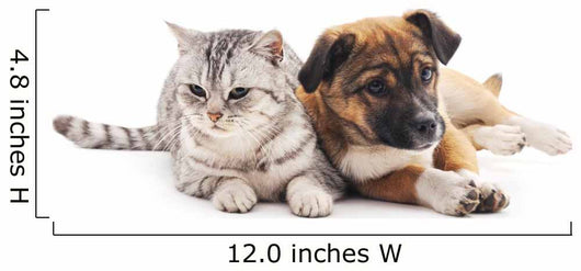 Cat and Puppy Wall Decal