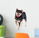Siba Inu Dog White Wall Decal