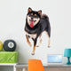 Siba Inu Dog White Wall Decal