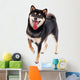 Siba Inu Dog White Wall Decal
