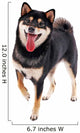 Siba Inu Dog White Wall Decal