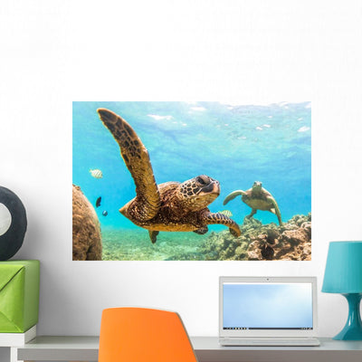 Hawaiian Green Sea Turtle Wall Decal shown on a wall