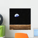 View Of Earth From The Moon's Surface Wall Mural