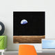 View Of Earth From The Moon's Surface Wall Mural