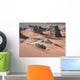 Desert Wall Mural