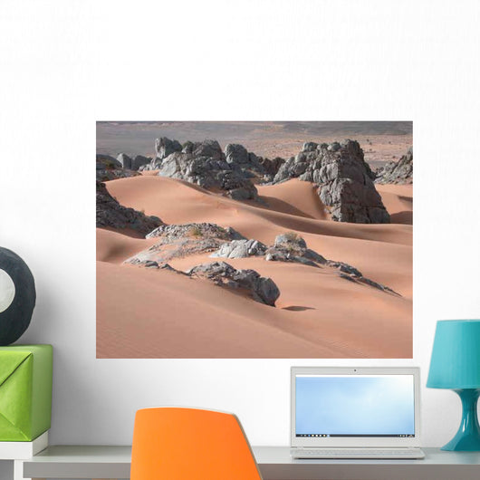Desert Wall Mural
