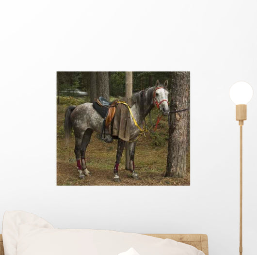 Horse Wall Mural