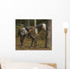 Horse Wall Mural