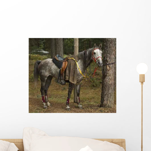 Horse Wall Mural