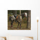 Horse Wall Mural