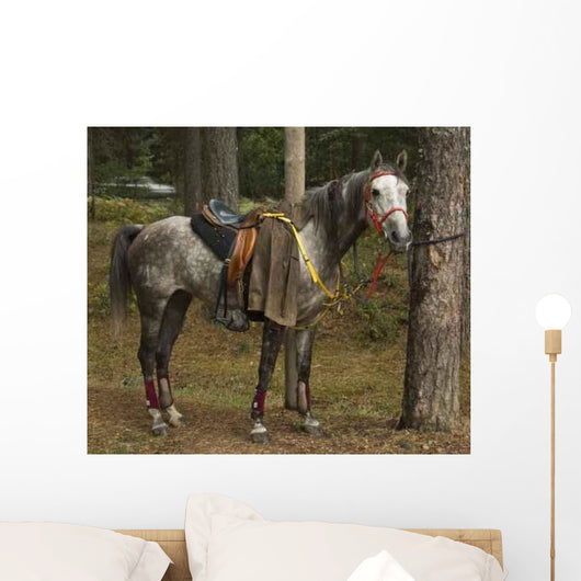 Horse Wall Mural