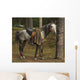 Horse Wall Mural